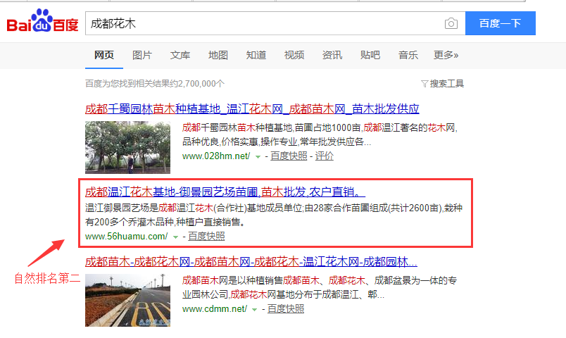 成都花木，成都苗木簡單的指導直接上百度首頁
