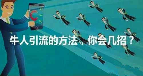網站推廣之花生日記如何利用抖音引流
