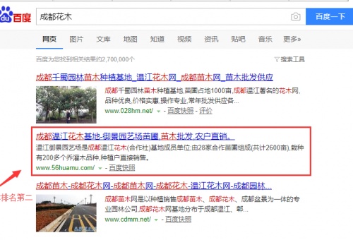 成都花木，成都苗木簡(jiǎn)單的指導(dǎo)直接上百度首頁(yè)